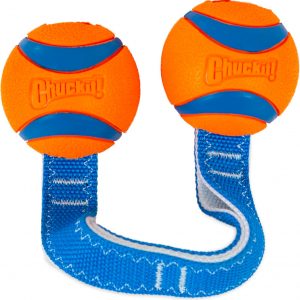 Chuckit! Ultra Duo Tug Dog Toy, Medium Indoor and Outdoor Dog Ball for Dogs 20-60 Pounds
