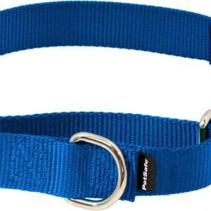 PetSafe Martingale Dog Collar with Quick-Snap Buckle – Large, 1 Inch, Royal Blue